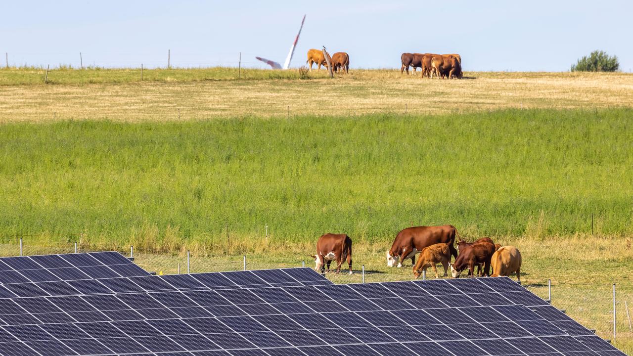 Kühe stehen auf einer Weide. Im Vorderund ist eine Photovoltaik-Anlage zu sehen, im Hintergrund ein Teil eines Windrads.