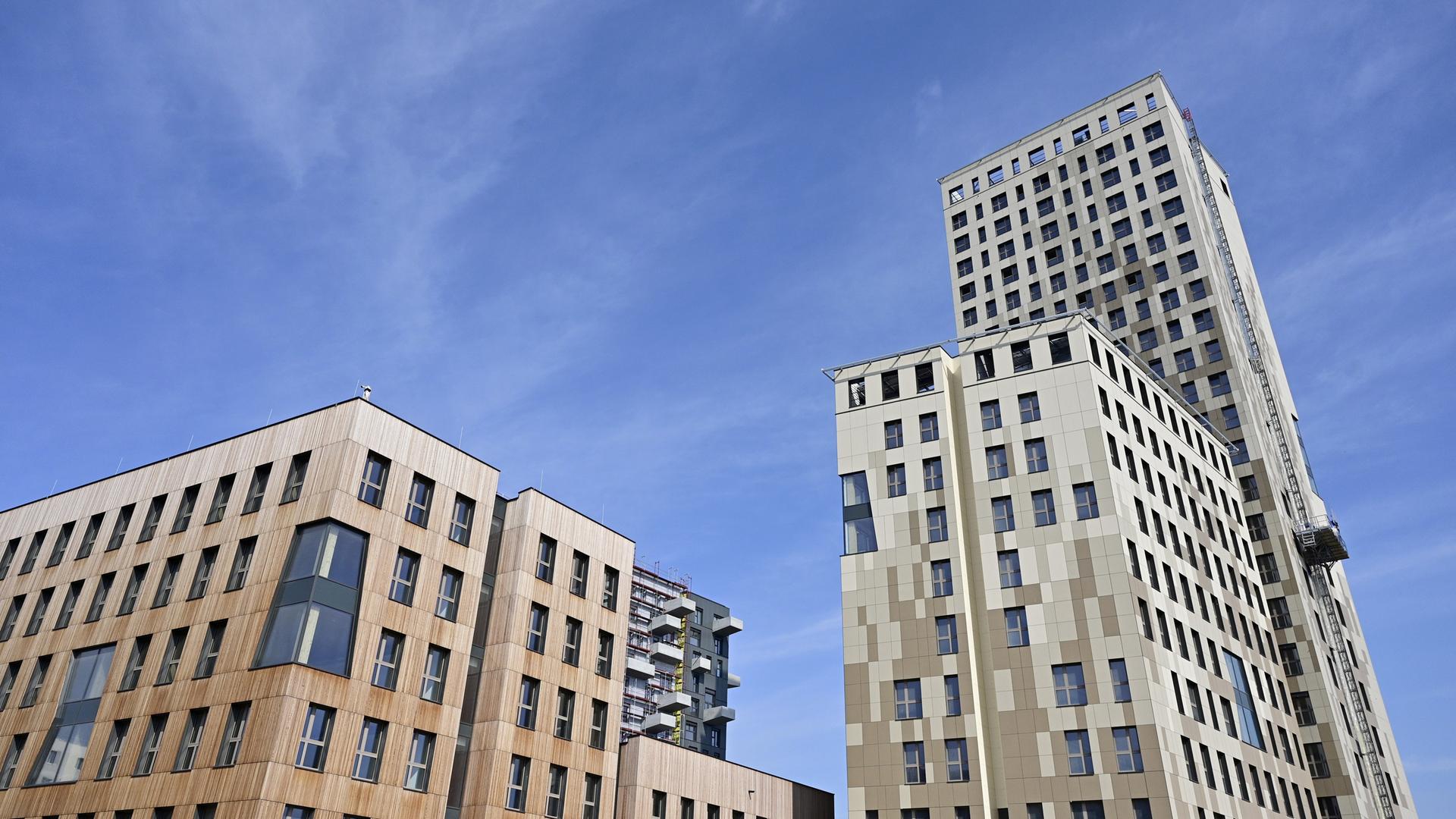 Ein Holz-Hybrid-Hochhaus ragt aus der Froschperspektive in den blauen Himmel.