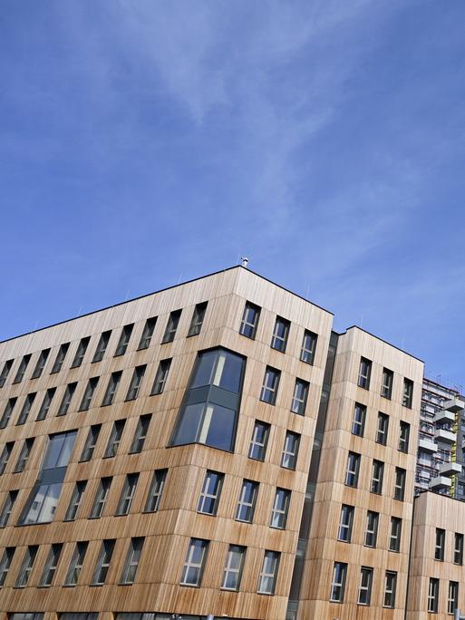 Ein Holz-Hybrid-Hochhaus ragt aus der Froschperspektive in den blauen Himmel.