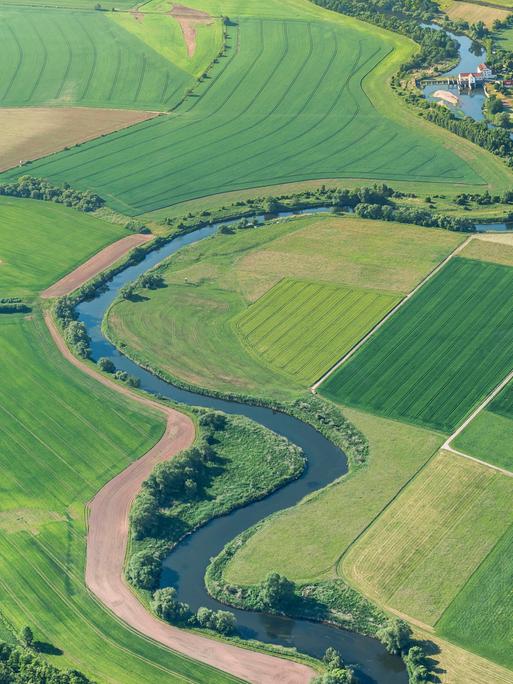 Luftaufnahme der Aue: Die Werra und das Grüne Band ziehen sich gewunden durch eine grüne Ackerlandschaft.