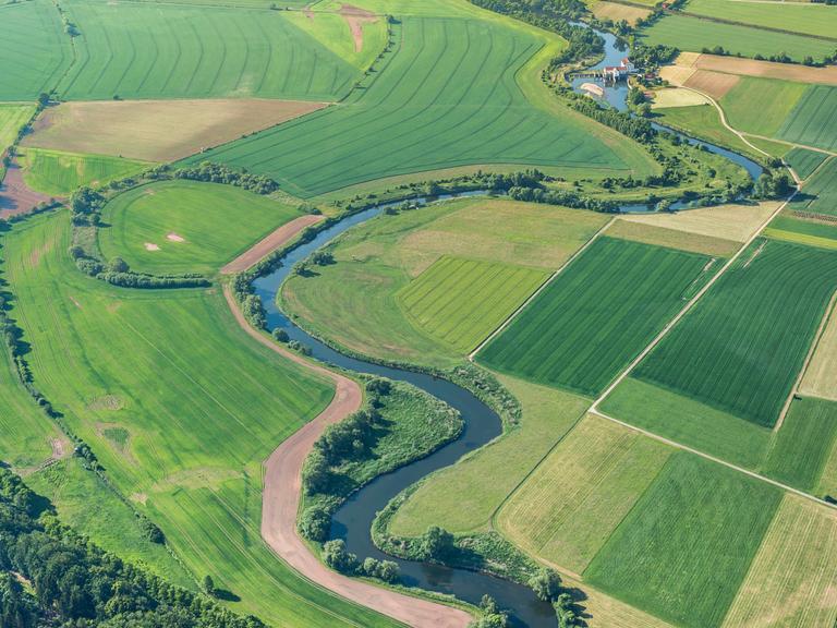 Luftaufnahme der Aue: Die Werra und das Grüne Band ziehen sich gewunden durch eine grüne Ackerlandschaft.