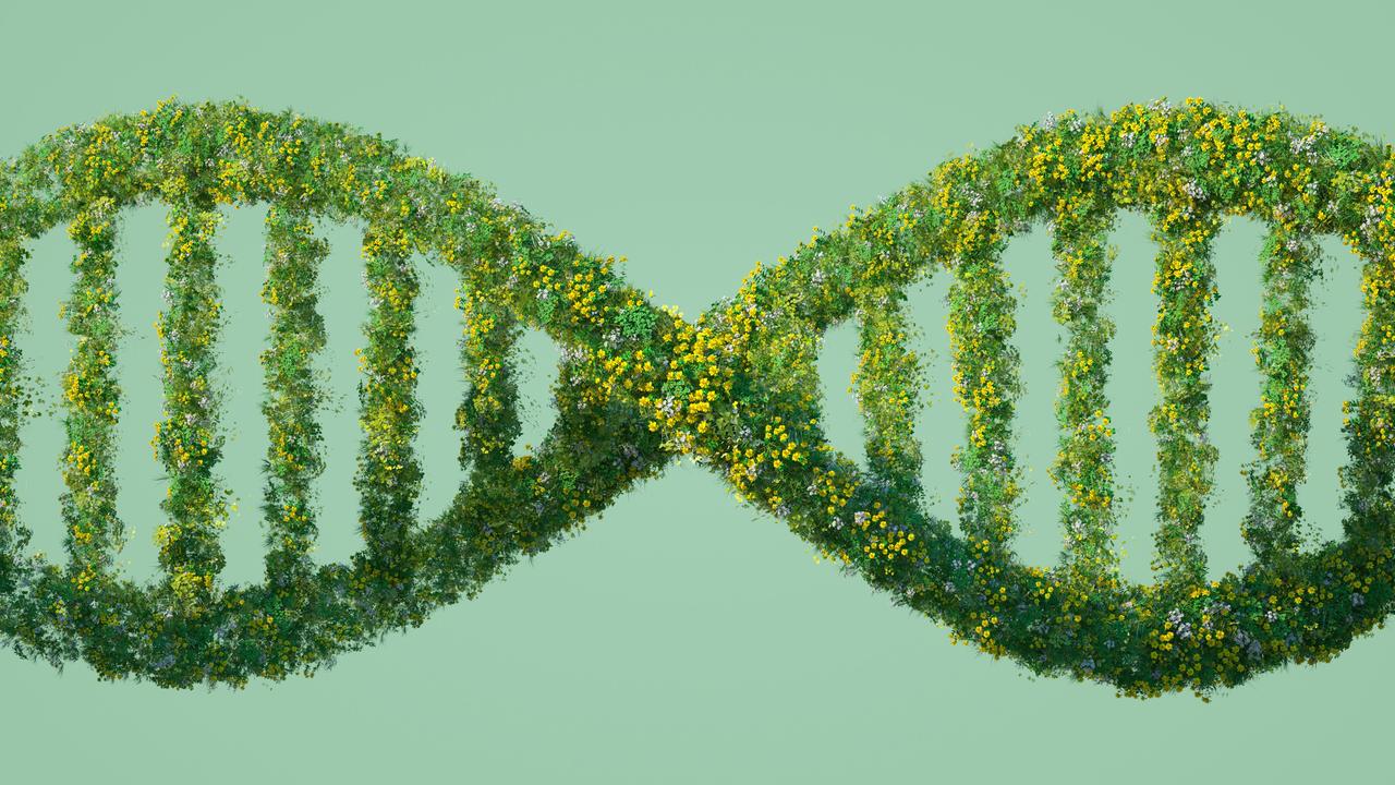 Ein digital generiertes Bild einer DNA Sequenz, die aus Grass, Blumen und anderen Pflanzen gestaltet ist.