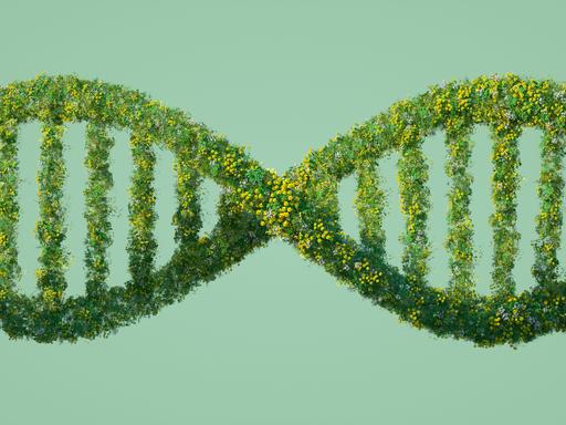 Ein digital generiertes Bild einer DNA Sequenz, die aus Grass, Blumen und anderen Pflanzen gestaltet ist.