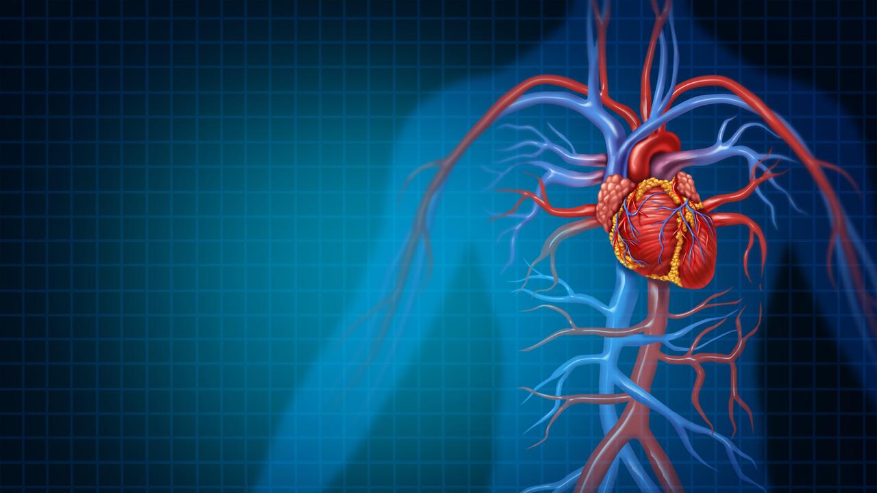 Symbolbild für die menschliche Durchblutung, das ein gesundes Herz samt Venen und Arterien im 3D-Illustrationsstil darstellt.