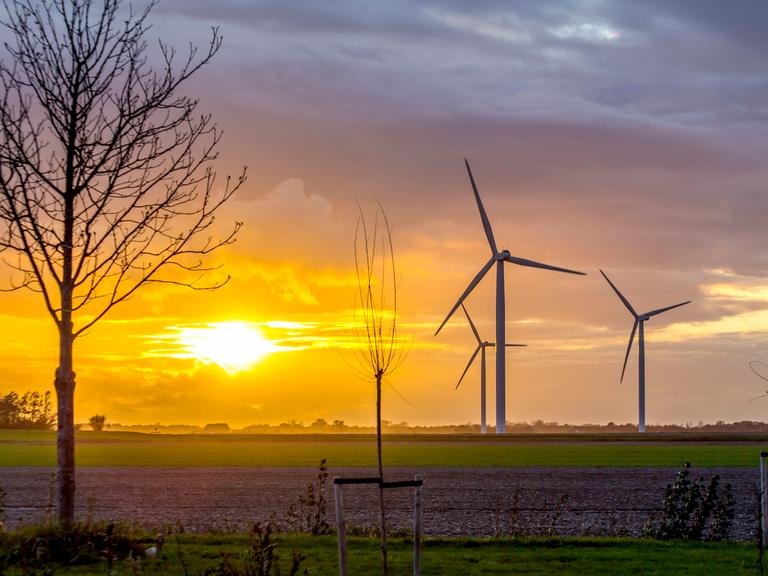 Windräder im Sonnenuntergang 