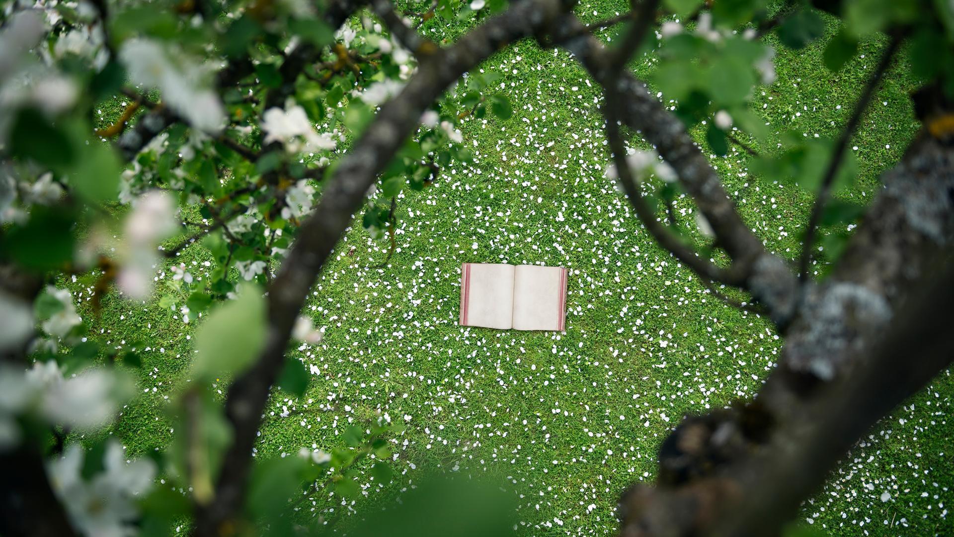 Ein Buch liegt auf einer Wiese unter einem blühenden Apfelbaum.