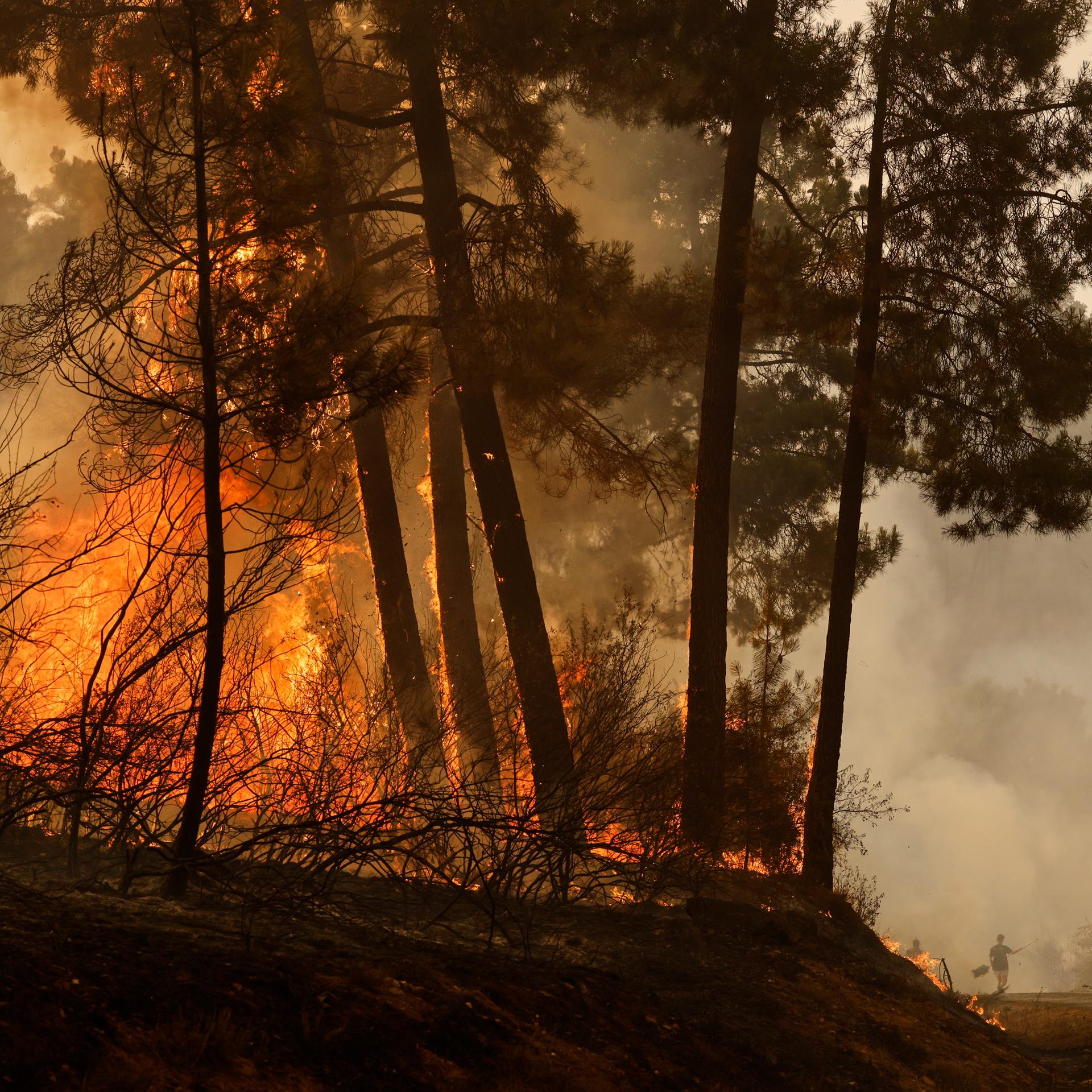 Anwohner und freiwillige Helfer versuchen einen Waldbrand zu löschen in Larouco, Spanien