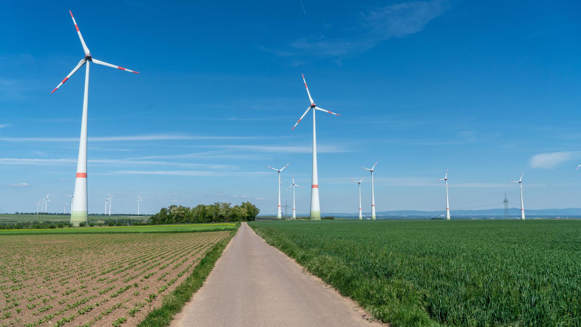 Windräder stehen zwischen Feldern in Rheinhessen.