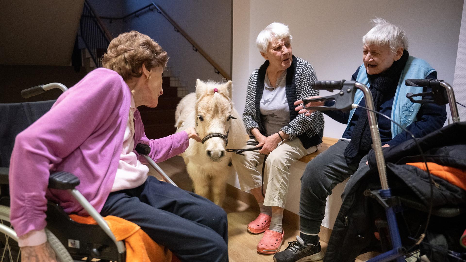 Bewohnerinnen in der Pflegeeinrichtung Bürgermeister-Gräf-Haus rund um das Shetland-Pony Toffee. Der Besuch der Ponys bringt Abwechslung für die Bewohnerinnen und Bewohner.