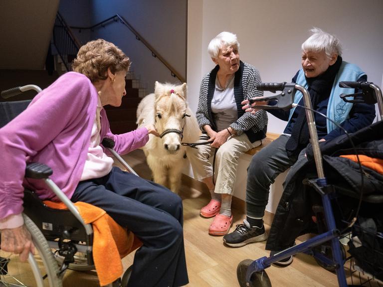 Bewohnerinnen in der Pflegeeinrichtung Bürgermeister-Gräf-Haus rund um das Shetland-Pony Toffee. Der Besuch der Ponys bringt Abwechslung für die Bewohnerinnen und Bewohner. Bewohnerinnen in der Pflegeeinrichtung Bürgermeister-Gräf-Haus rund um das Shetland-Pony Toffee. Der Besuch der Ponys bringt Abwechslung für die Bewohnerinnen und Bewohner.