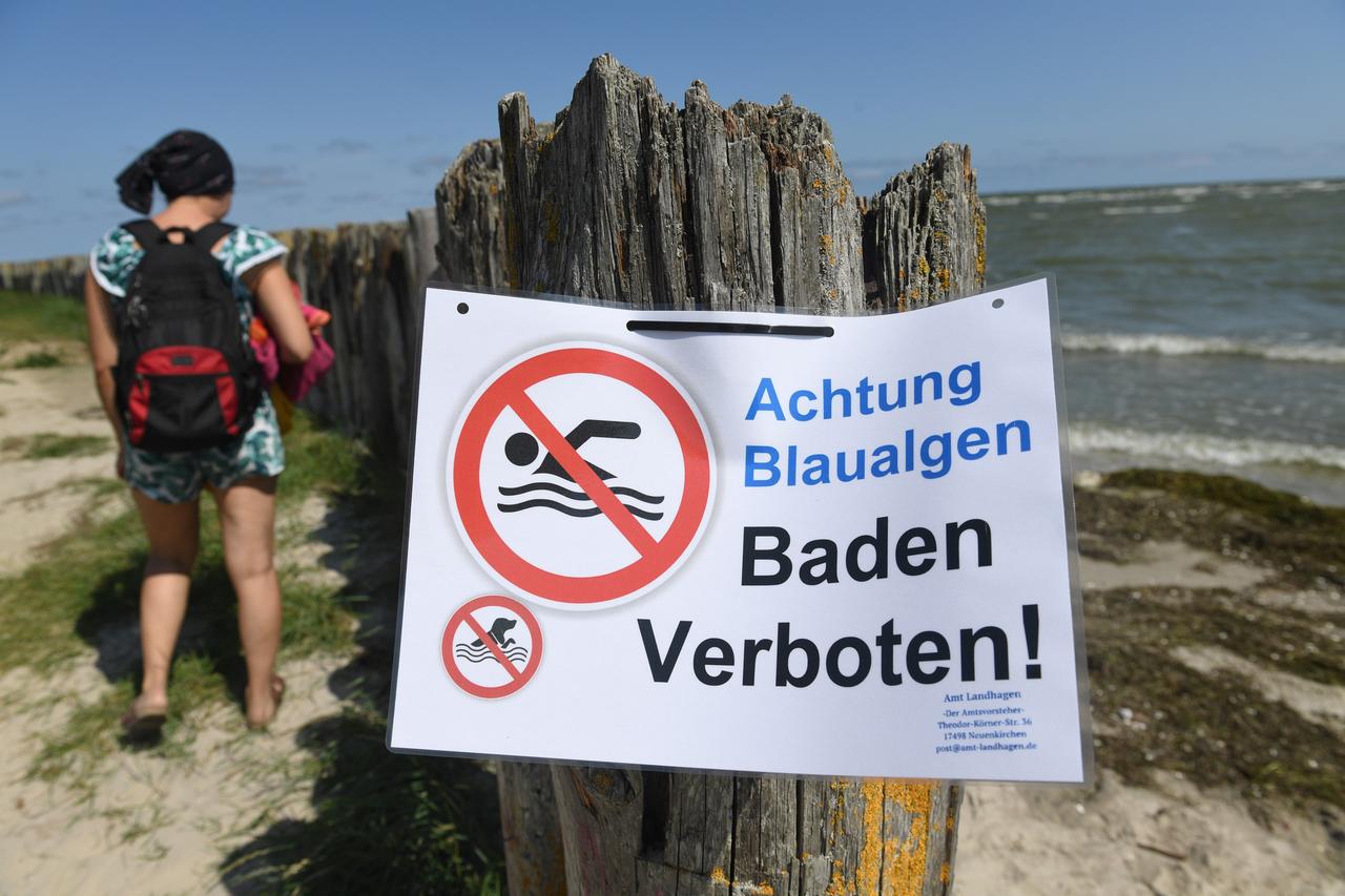 Ein Hinweisschild verbietet am Bodden bei Wampen (Vorpommern-Greifswald) das Baden, weil sich dort Blaualgen gebildet haben.