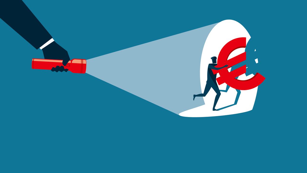 Illustration einer Person, die mit einem großen Euro-Zeichen versucht zu flüchten. Von links kommt eine Hand, die mit einer Taschenlampe direkt auf sie scheint.