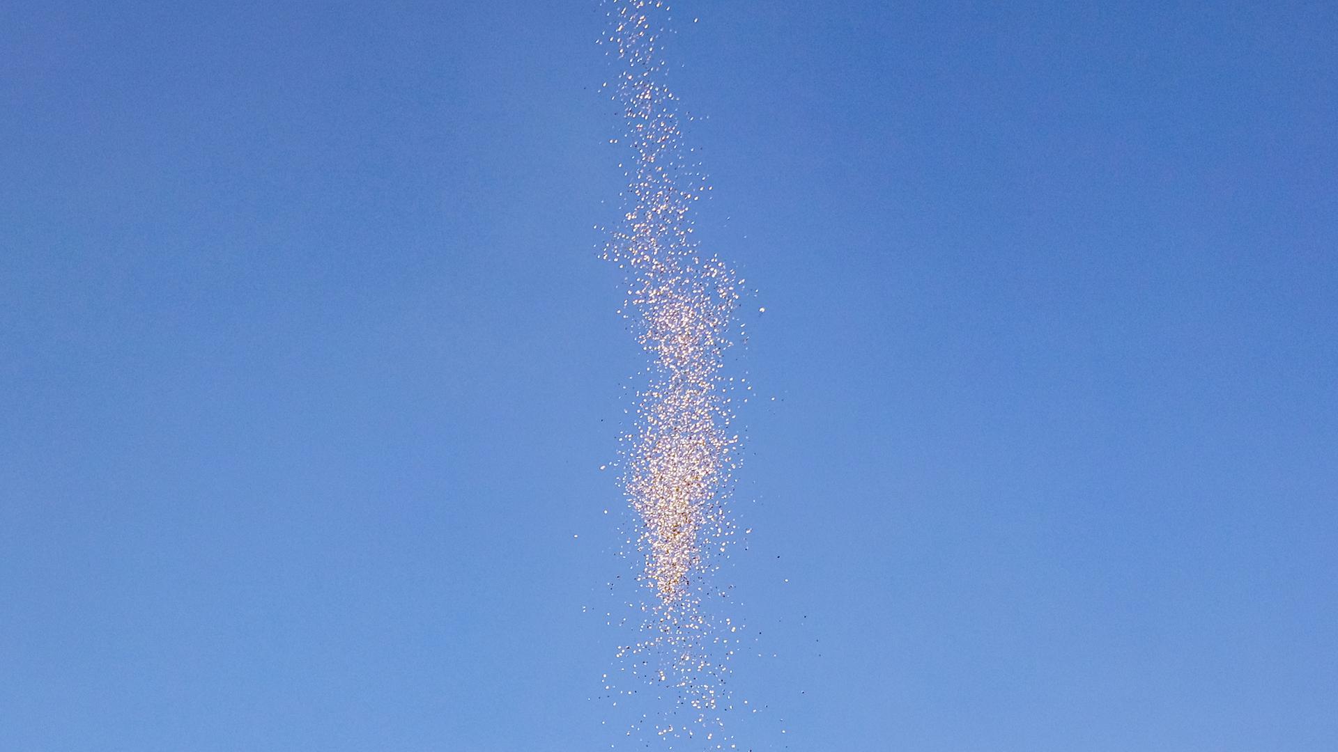 Flugblätter fallen vom Himmel Flugblätter fallen vom Himmel