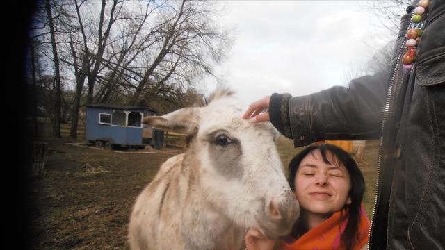 Eine Frau streichelt einen Esel.