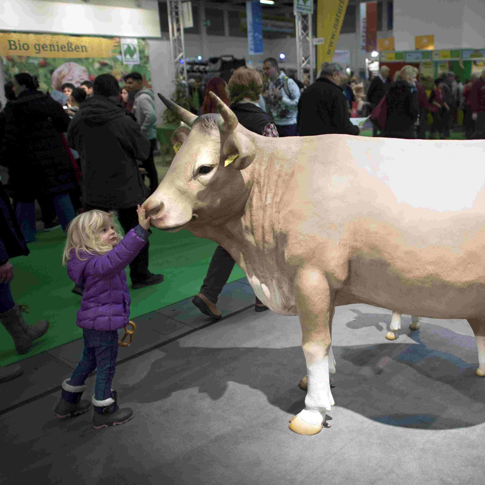 Kinderhörspiel und Geschichten - Messie