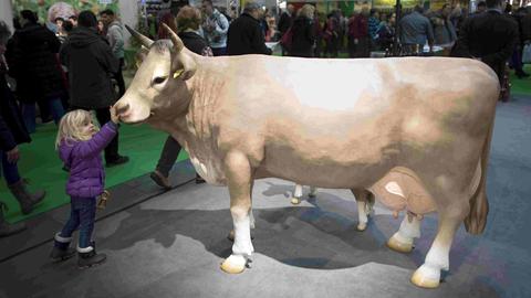 Ein Mädchen streichelt eine aufgestellte Kuh bei der Grünen Woche 2018 in Berlin