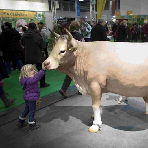 Ein Mädchen streichelt eine aufgestellte Kuh bei der Grünen Woche 2018 in Berlin