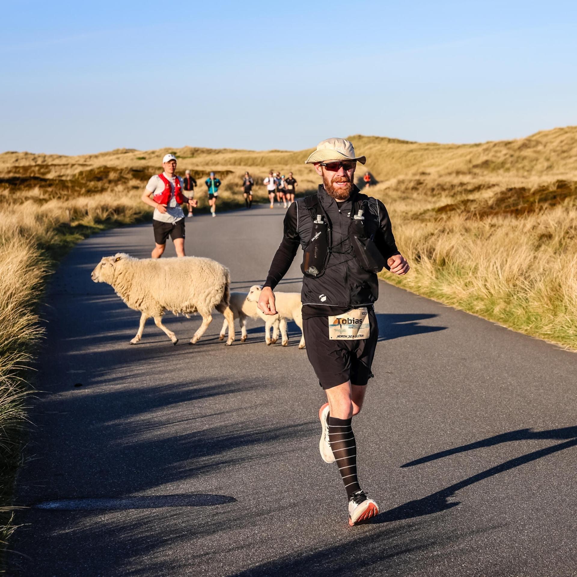 Ultra-Running - Von der Fitness zum Extremsport