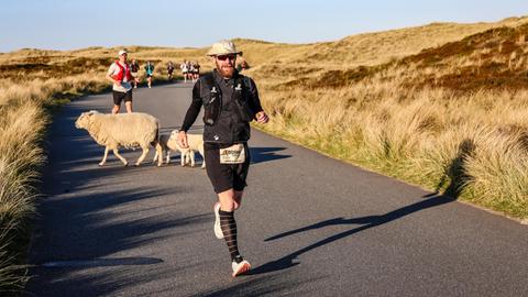 Teilnehmer am North Sea Ultra Marathon 2026 auf Sylt laufen durch die nordfriesische Landschaft auf der Insel. Zwischen zwei Läufern kreuzen Schafe den Weg in der Dünenlandschaft. Teilnehmer am North Sea Ultra Marathon 2026 auf Sylt laufen durch die nordfriesische Landschaft auf der Insel. Zwischen zwei Läufern kreuzen Schafe den Weg in der Dünenlandschaft.