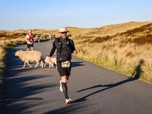 Teilnehmer am North Sea Ultra Marathon 2026 auf Sylt laufen durch die nordfriesische Landschaft auf der Insel. Zwischen zwei Läufern kreuzen Schafe den Weg in der Dünenlandschaft. Teilnehmer am North Sea Ultra Marathon 2026 auf Sylt laufen durch die nordfriesische Landschaft auf der Insel. Zwischen zwei Läufern kreuzen Schafe den Weg in der Dünenlandschaft.
