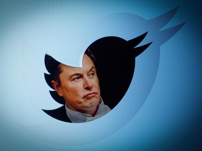 Das Gesicht von Elon Musk im Logo von Twitter