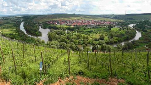 Blick auf die Schlaufe im Main in Nordheim/Main in der Nähe von Volkach, Unteres Franken. Blick vom Restaurant auf der Vogelsburg. Blick auf die Schlaufe im Main in Nordheim/Main in der Nähe von Volkach, Unteres Franken. Blick vom Restaurant auf der Vogelsburg.