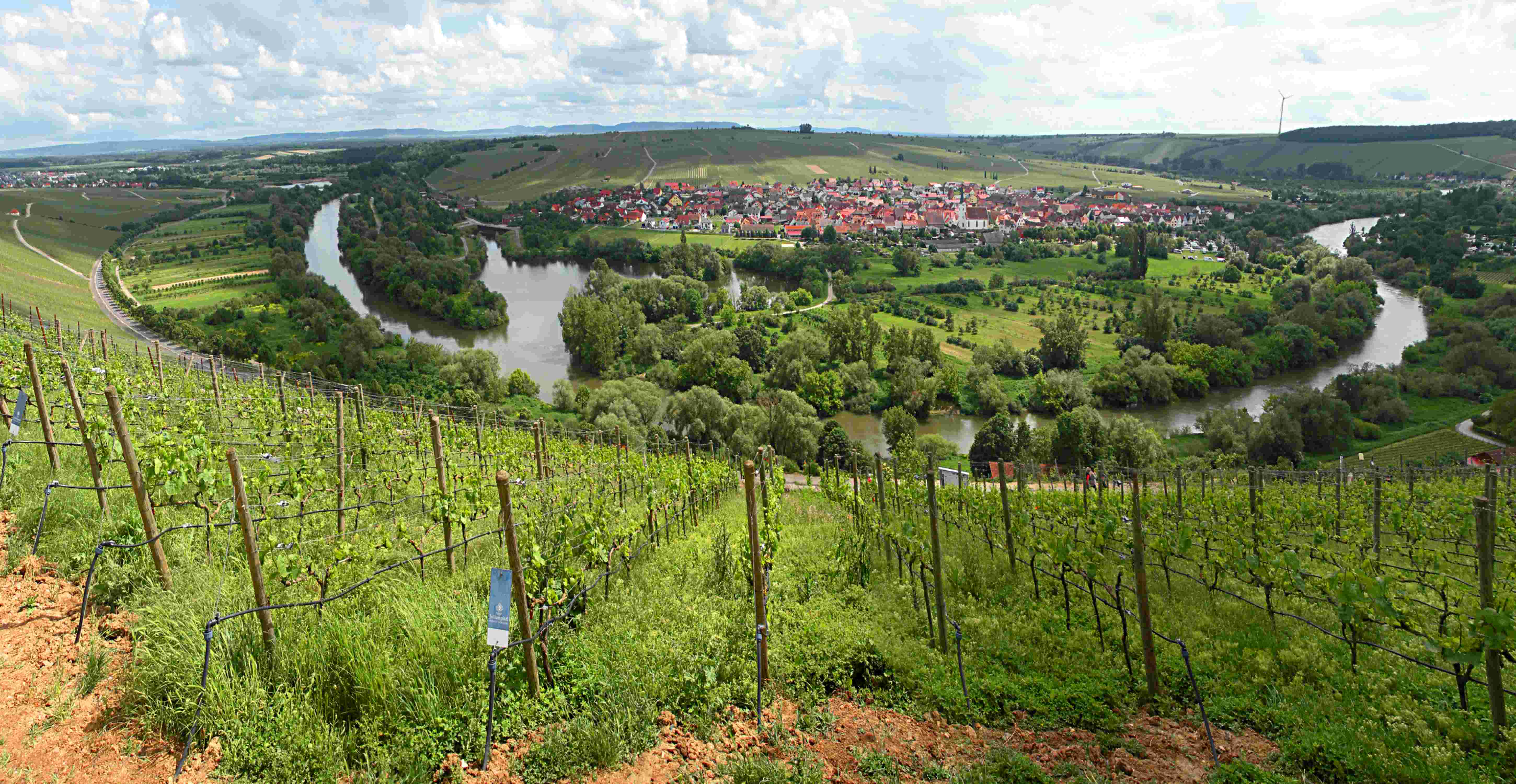 Blick auf die Schlaufe im Main in Nordheim/Main in der Nähe von Volkach, Unteres Franken. Blick vom Restaurant auf der Vogelsburg.