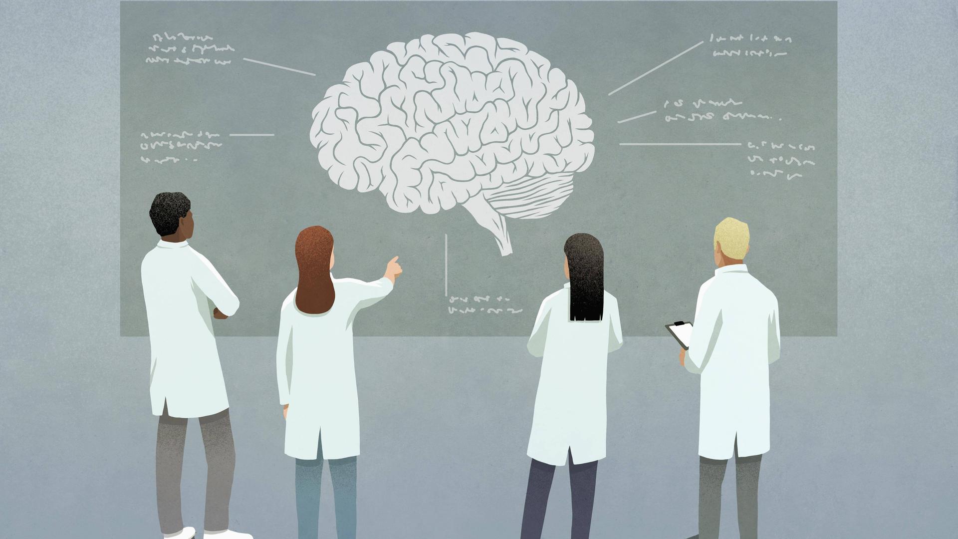 Wissenschaftler mit dem Diagramm eines Gehirns (Illustration)