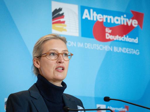 Die Parteichefin der Alternative für Deutschland (AfD), Alice Weidel, steht an einem Rednerpult. Im Hintergrund ist das Logo ihrer Partei zu sehen. 