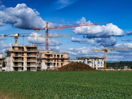 Auf dem Bild ist eine aufstrebende Stadtlandschaft zu sehen, geprägt von zahlreichen Baustellen. Die Versiegelung des Bodens ist unübersehbar.