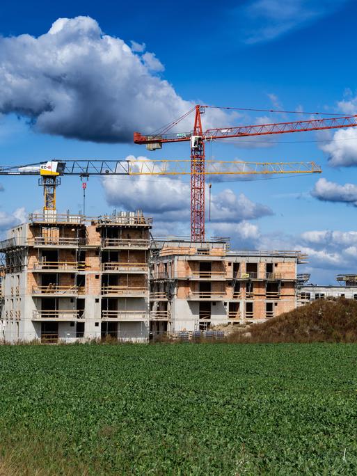 Auf dem Bild ist eine aufstrebende Stadtlandschaft zu sehen, geprägt von zahlreichen Baustellen. Die Versiegelung des Bodens ist unübersehbar. Auf dem Bild ist eine aufstrebende Stadtlandschaft zu sehen, geprägt von zahlreichen Baustellen. Die Versiegelung des Bodens ist unübersehbar.
