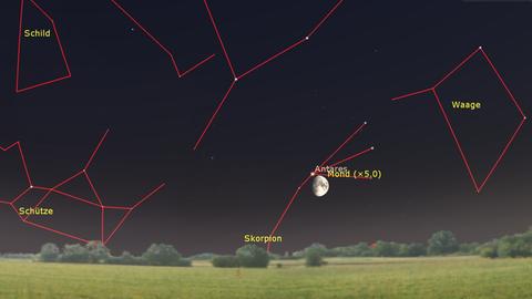 Der Mond zieht heute Nacht sehr tief über den Südhimmel – begleitet von Antares im Skorpion.