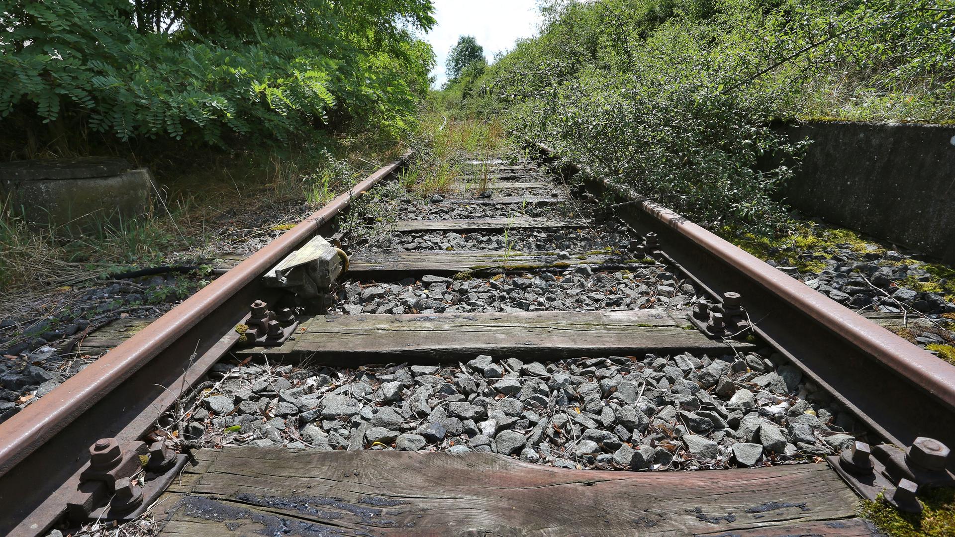 Blick auf ein teilweise zugewuchertes Gleisbett einer stillgelegten Bahnstrecke.