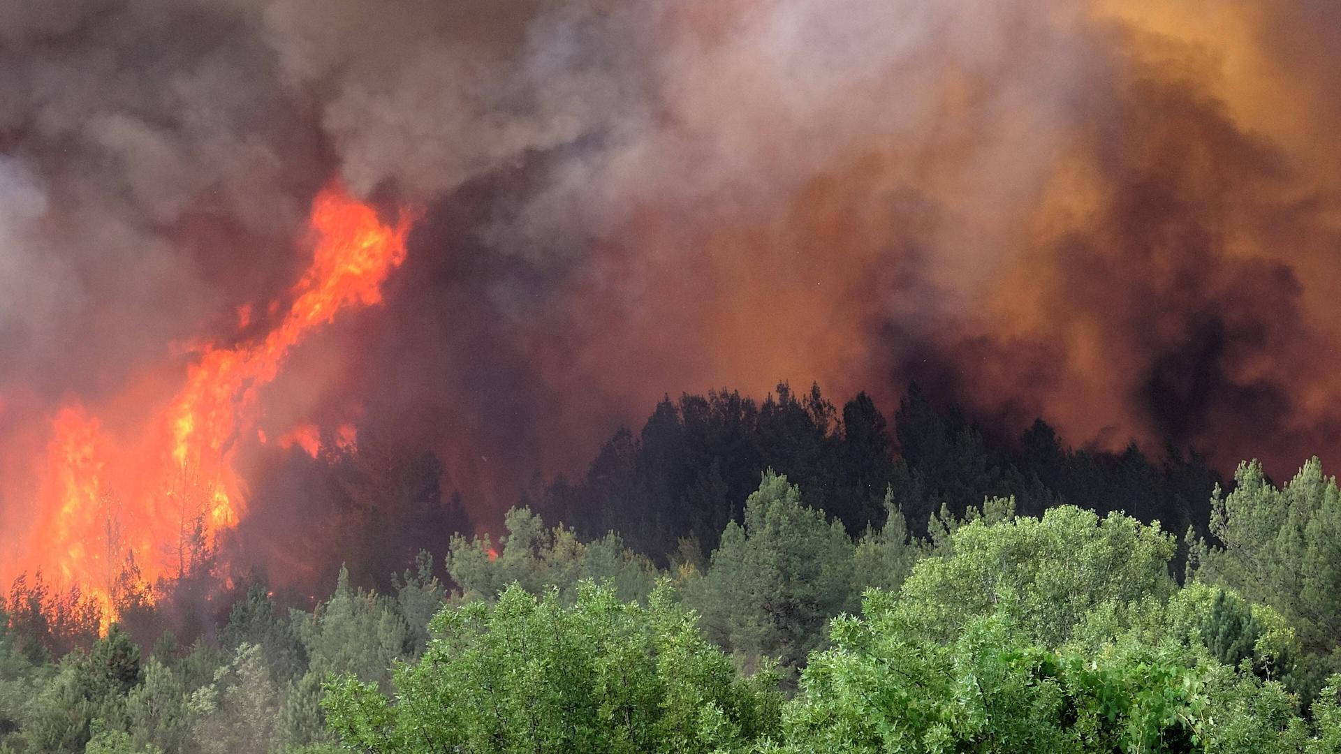 Luft aufnahme eines Waldgebiets. Riesige Flammen sind zu sehen. Dazu viel Rauch.