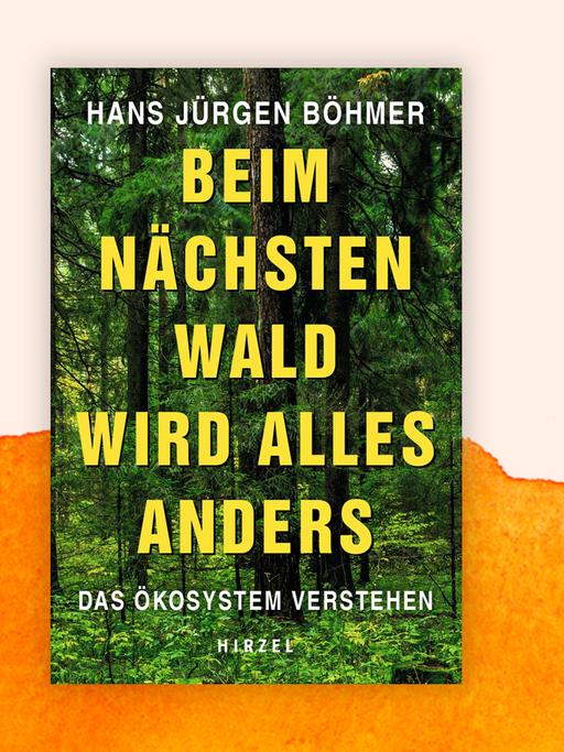 Das Cover von "Beim nächsten Wald wird alles anders. Das Ökosystem verstehen" zeigt ein Foto eines Waldes, darauf in gelber Schrift der Buchtitel und der Autor. Hinter dem Cover sind orangene Farbverläufe zu sehen.