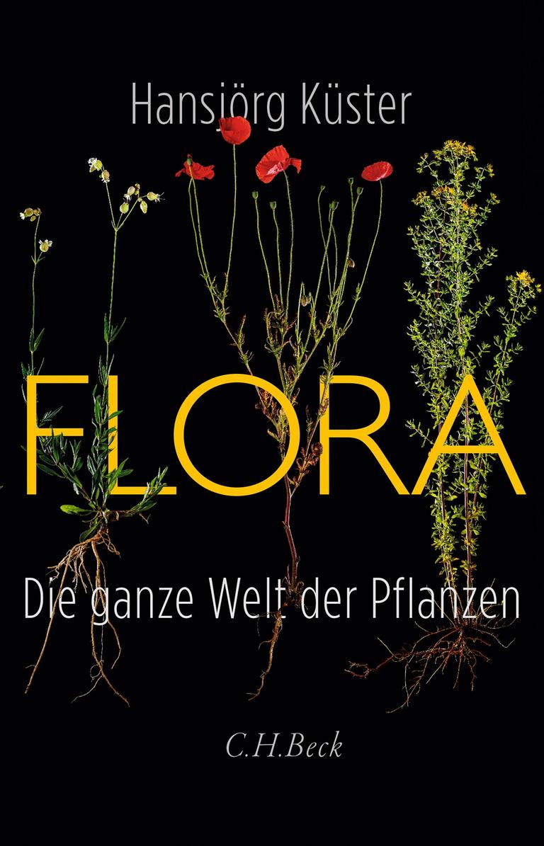 Das Buchcover "Flora" von Hansjörg Küster zeigt mehrere Pflanzen.
