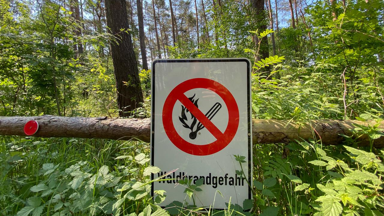 Ein Schild mit einem durchgestrichenen Flammensymbol und der Aufschrift „Waldbrandgefahr“ hängt in einem Wald. Ein Schild mit einem durchgestrichenen Flammensymbol und der Aufschrift „Waldbrandgefahr“ hängt in einem Wald.