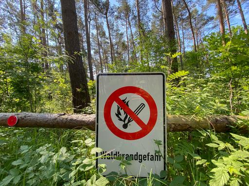Ein Schild mit einem durchgestrichenen Flammensymbol und der Aufschrift  „Waldbrandgefahr“ hängt in einem Wald.