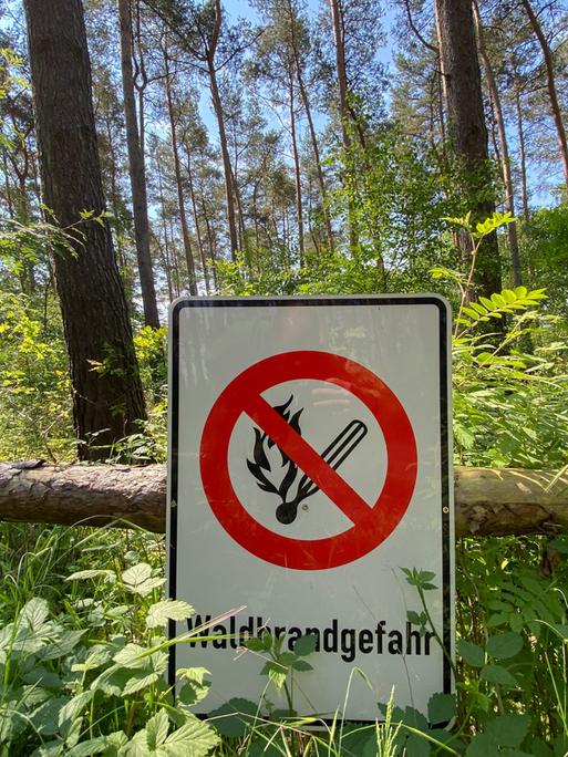 Ein Schild mit einem durchgestrichenen Flammensymbol und der Aufschrift  „Waldbrandgefahr“ hängt in einem Wald.