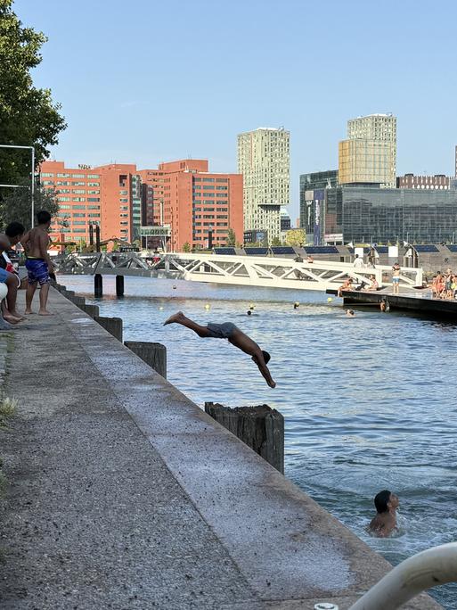 Während einer Hitzewelle springt ein Mann in ein Hafenbecken in Rotterdam. 