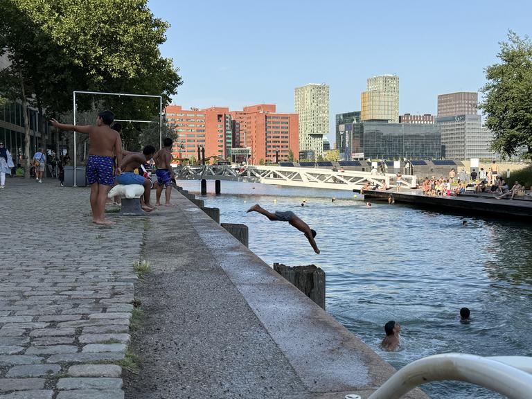 Während einer Hitzewelle springt ein Mann in ein Hafenbecken in Rotterdam. 