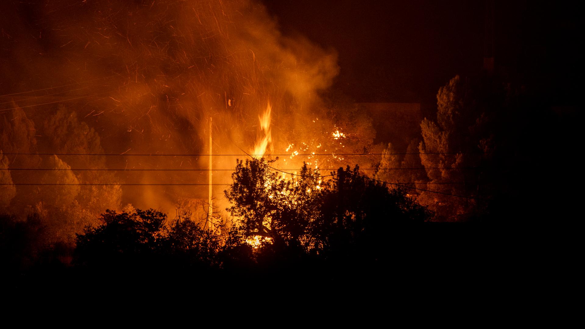 Rötliche Flammen erhellen in der Nacht Sträucher und Bäume.