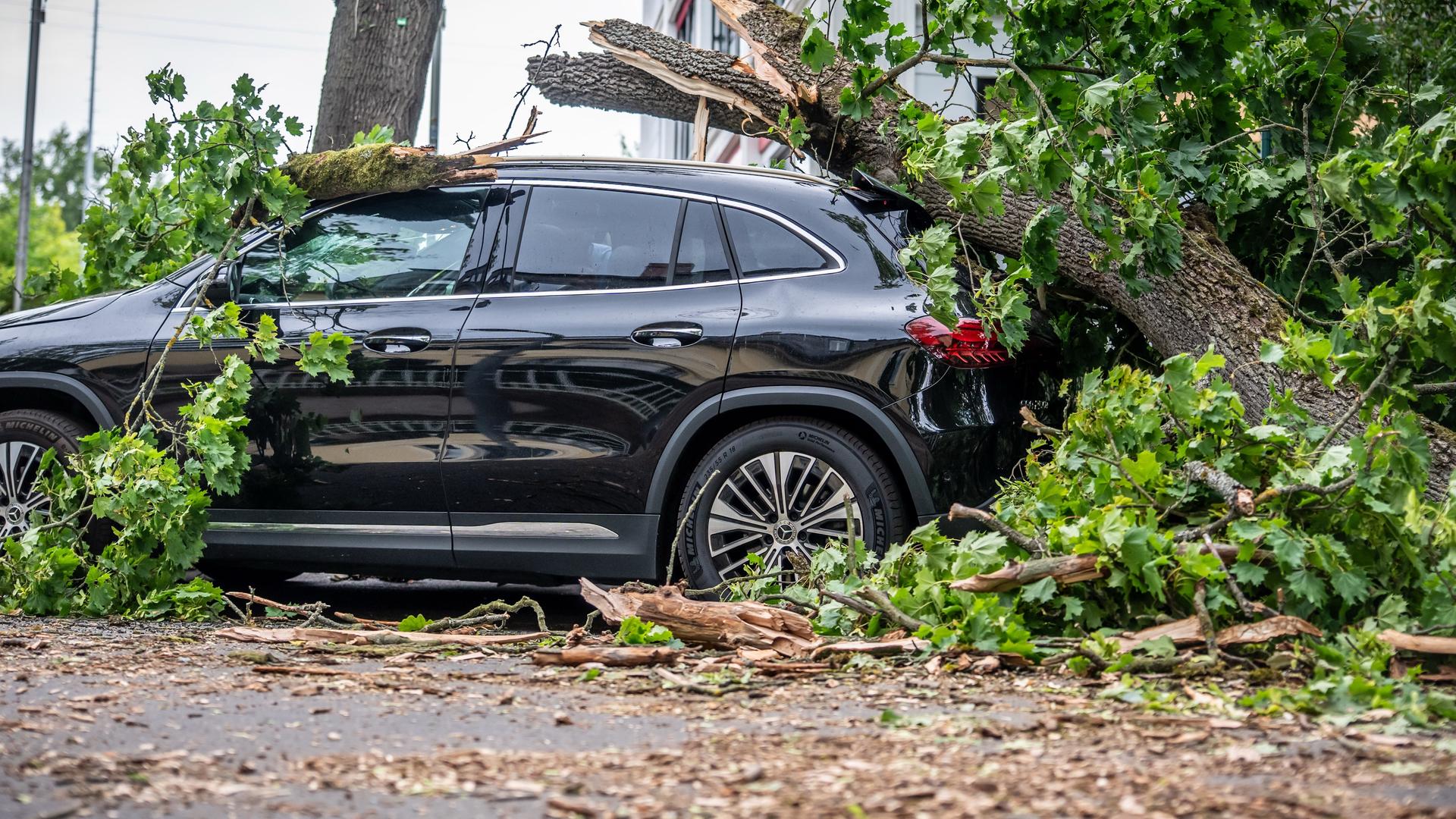 Ein vom Sturm abgebrochener Baum liegt auf einem Auto in der Trabener Straße im Westen von Berlin. Ein vom Sturm abgebrochener Baum liegt auf einem Auto in der Trabener Straße im Westen von Berlin.