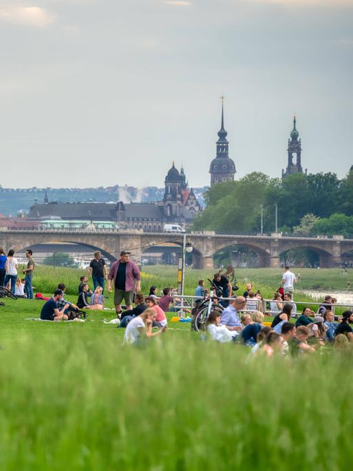 Menschen auf den Elbwiesen mit Blick auf Dresden