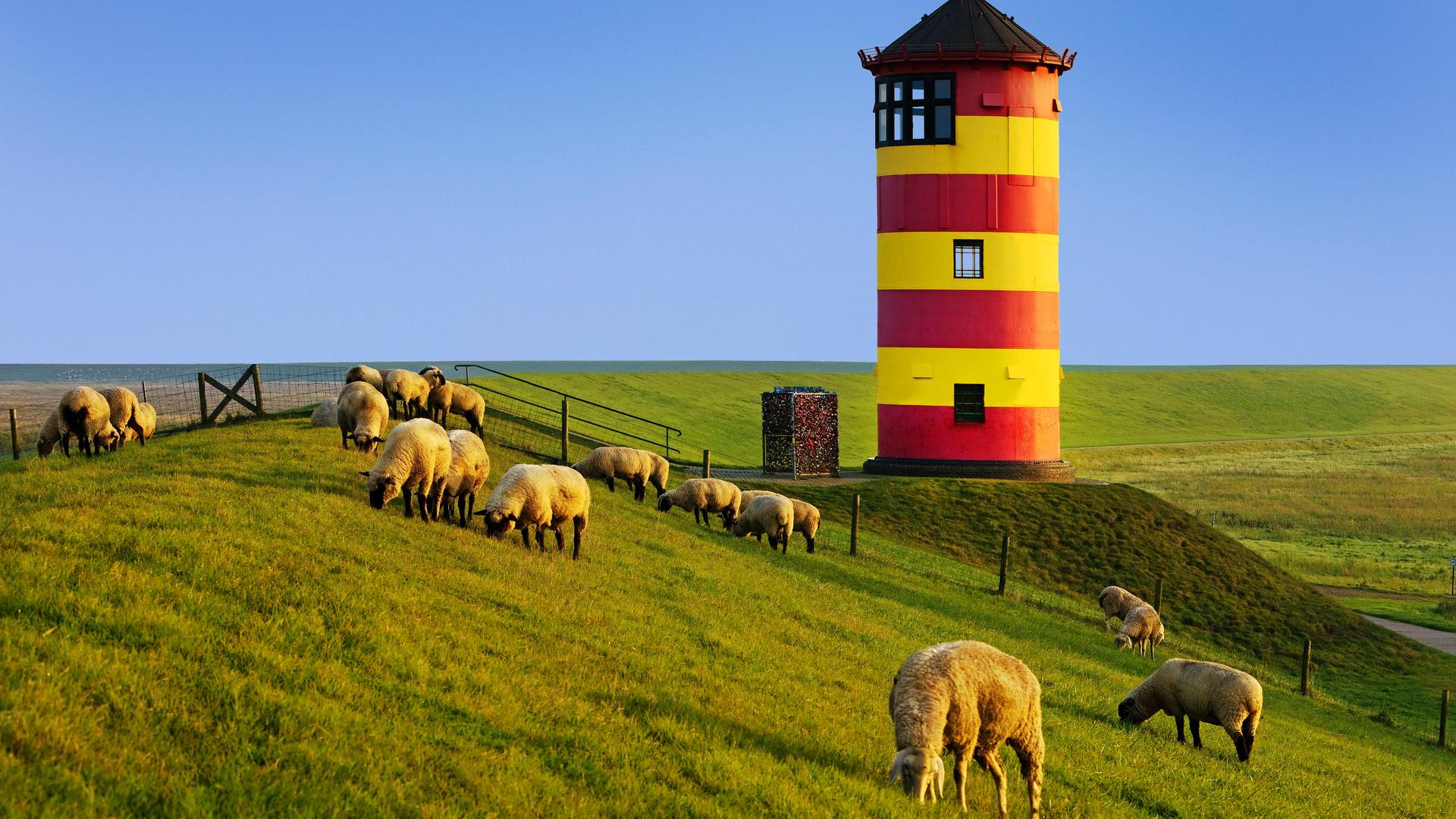 Pilsumer Leuchtturm mit Deich und Schafen in Ostfriesland, Niedersachsen.