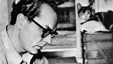 Schwarzweißaufnahme von Arno Schmidt an seinem Arbeitsplatz. Er sieht seinen Zettelkasten durch, im Bildhintergrund liegt eine Katze.