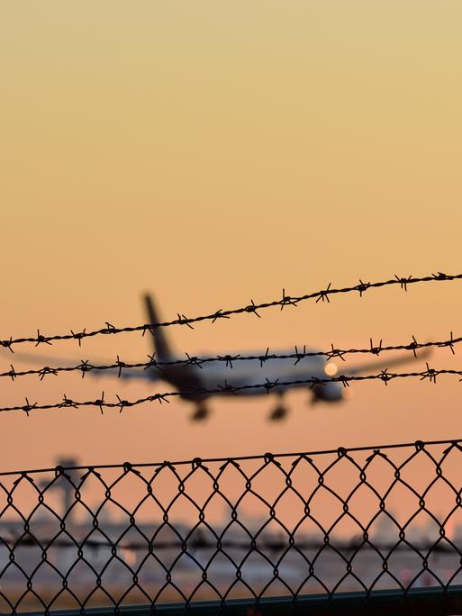 Symbolbild eines Abschiebeflugs. Zu sehen ist ein Flugzeug, das in einen Sonnenuntergang fliegt. 