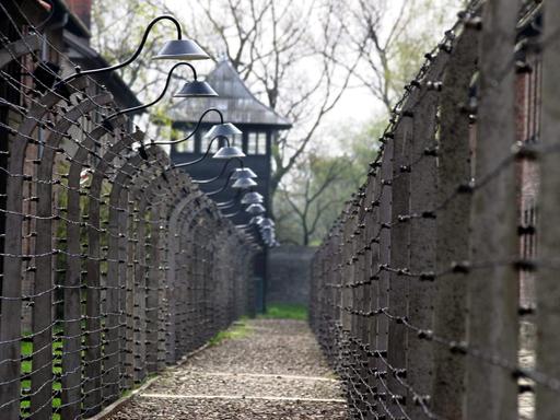 Eine SIchtachse zwischen Zäunen gibt den Blick frei auf ehemalige Baracken und Wege im Nazi-Vernichtungslager Auschwitz-Birkenau an einem Herbsttag 2004. 