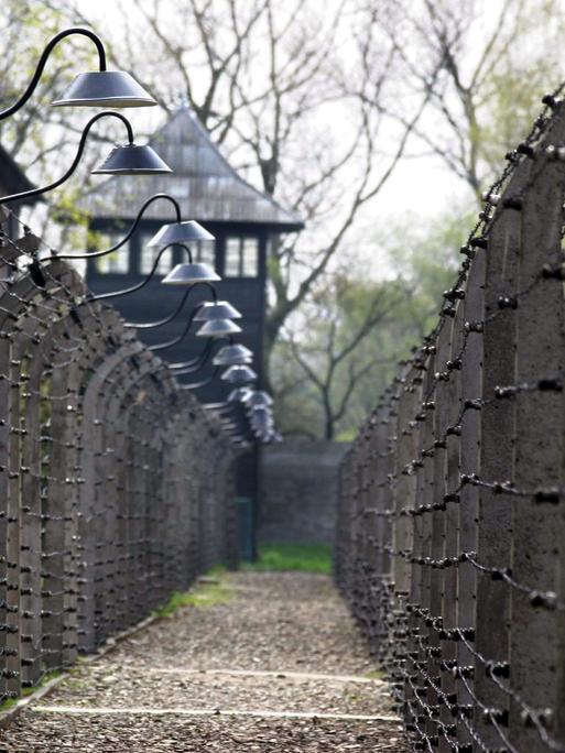 Eine SIchtachse zwischen Zäunen gibt den Blick frei auf ehemalige Baracken und Wege im Nazi-Vernichtungslager Auschwitz-Birkenau an einem Herbsttag 2004. 