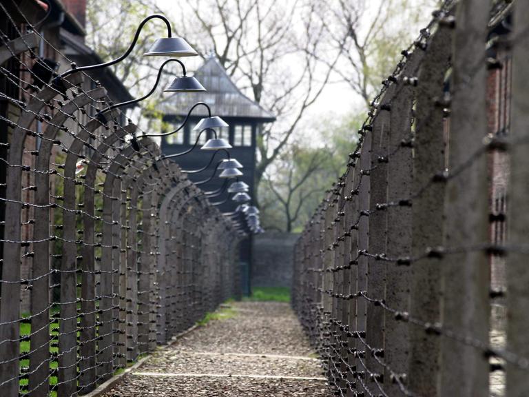 Eine SIchtachse zwischen Zäunen gibt den Blick frei auf ehemalige Baracken und Wege im Nazi-Vernichtungslager Auschwitz-Birkenau an einem Herbsttag 2004. 